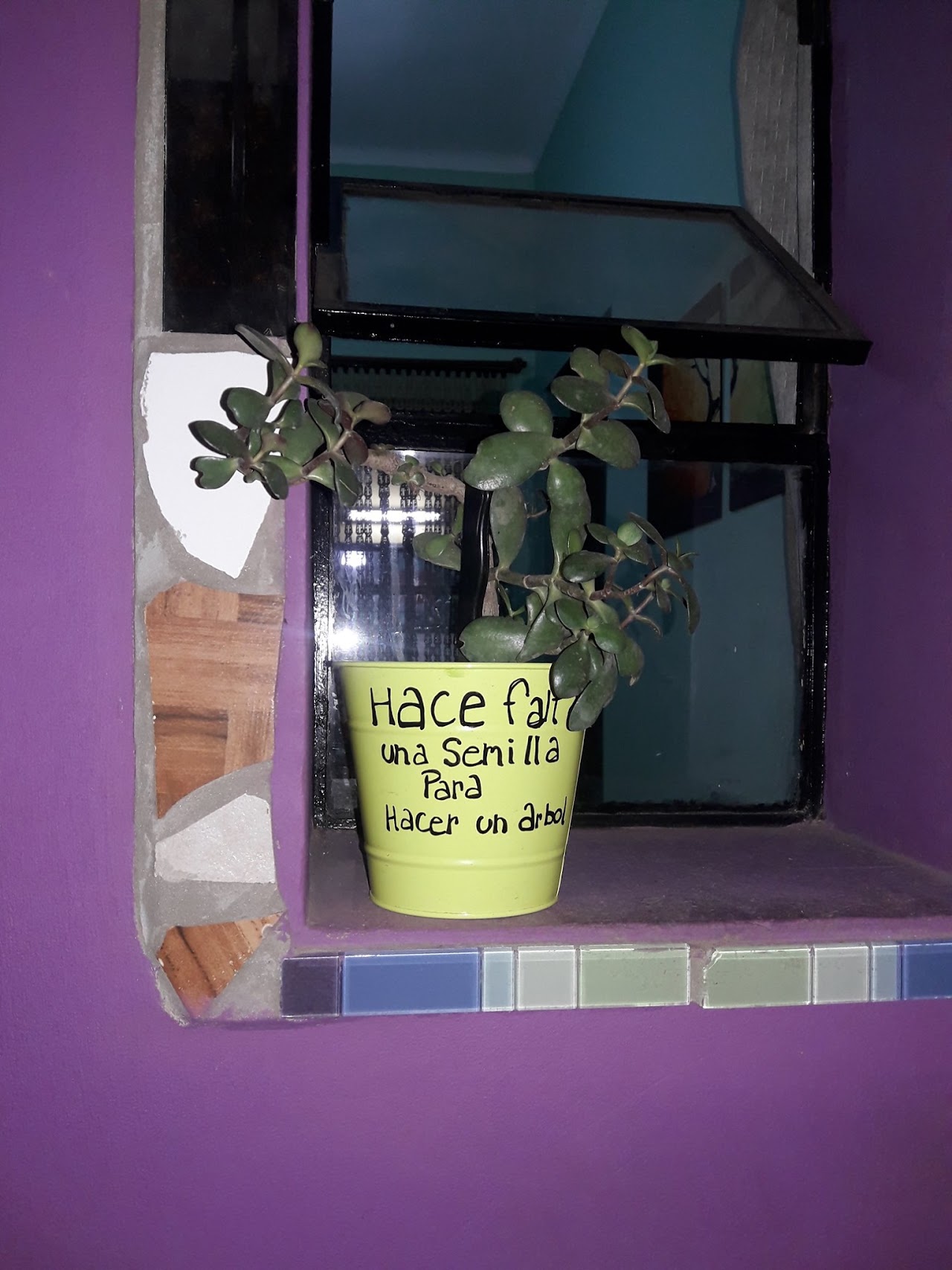 Planta y mensaje de crecimiento interior en Semillero de Luz